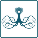 Octopus360