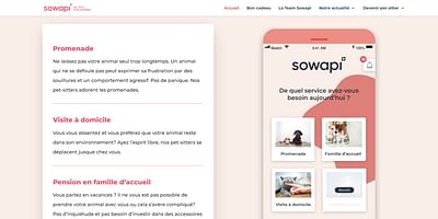 Sowapi app development - Mobile App