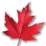 Maple Leaf Strategies