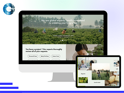BtoB platform - Stratégie de contenu