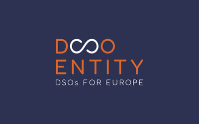DSO Entity branding et web design - Website Creatie