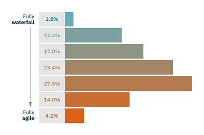 Survey report for the IIBA Brussels Chapter - Ontwerp
