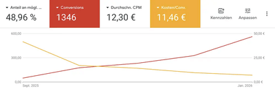 Google Ads für Übersetzungsbüro – 48→563 Conversions - Online Advertising