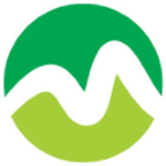 MSF Associates Ltd