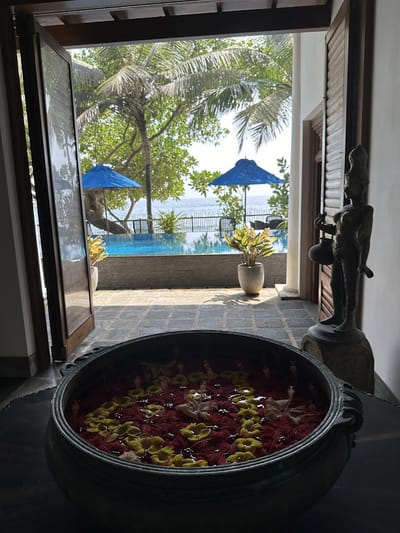 Royal indigo villa - SEO