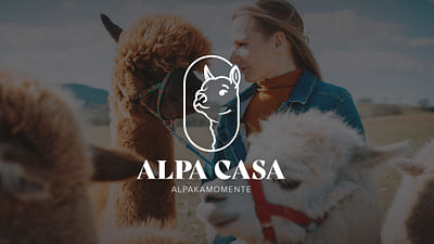 Coporate Design – Alpa Casa - Grafische Identität