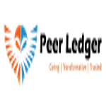 Peer Ledger logo