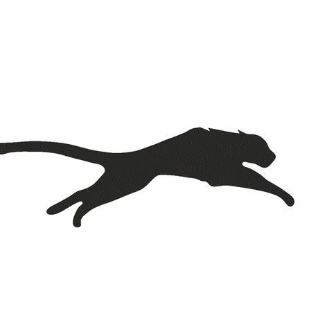Ocelot