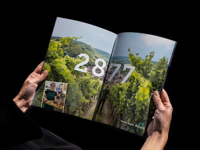 –– Bayern Tourismus Marketing - Publicité en ligne