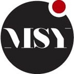 MSY INVEST bv logo