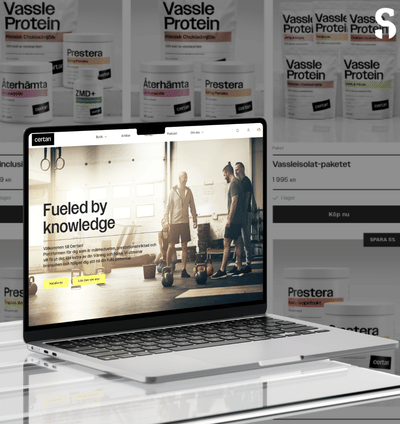 360% increase in Revenue with ECOM - Advertising
