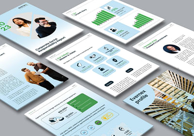 Creation d'un rapport RSE - Diseño Gráfico