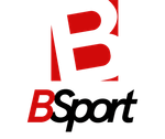 BSport logo
