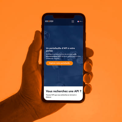 Site internet - Minakem - Publicité en ligne