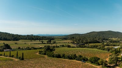 Shooting photo : Cave des vignerons londais - Photographie