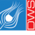 Dwarika Web Solutions Inc