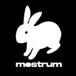 Mostrum Srl