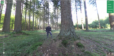 ITS Wood - Visite d'un bois immersif - Application mobile
