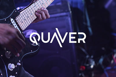 Quaver: Web e-learning + Imagen corporativa - Website Creation