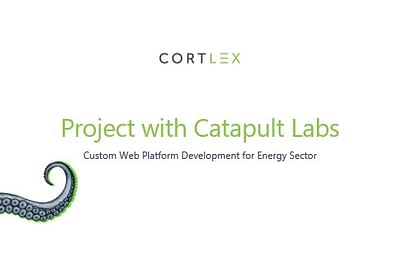 Custom Web Platform Development for Energy Sector - Software Development