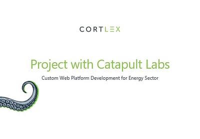 Custom Web Platform Development for Energy Sector - Applicazione web