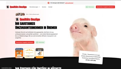 https://www.saustarkes-umzugsunternehmen.de/ - Webseitengestaltung