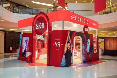 SK-II VS - Software Development