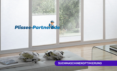 Plissee Partner: Steigerung Sichtbarkeit 200% - E-Commerce