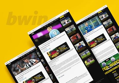 BWIN - SEO Consulting - SEO