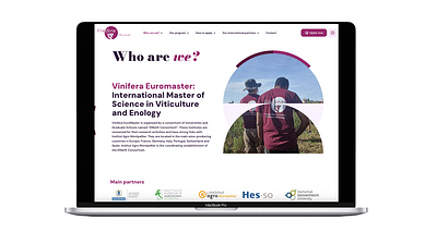 Vinifeira Euromaster: site et campagne SEA - Création de site internet