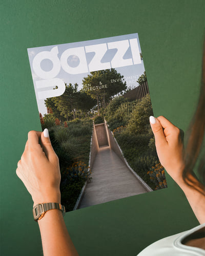 Identidad Visual para GAZZI - Creación de Sitios Web