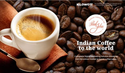 Driving 3.5× Higher Organic Traffic for Paul John Caffeine - Digital Strategy
