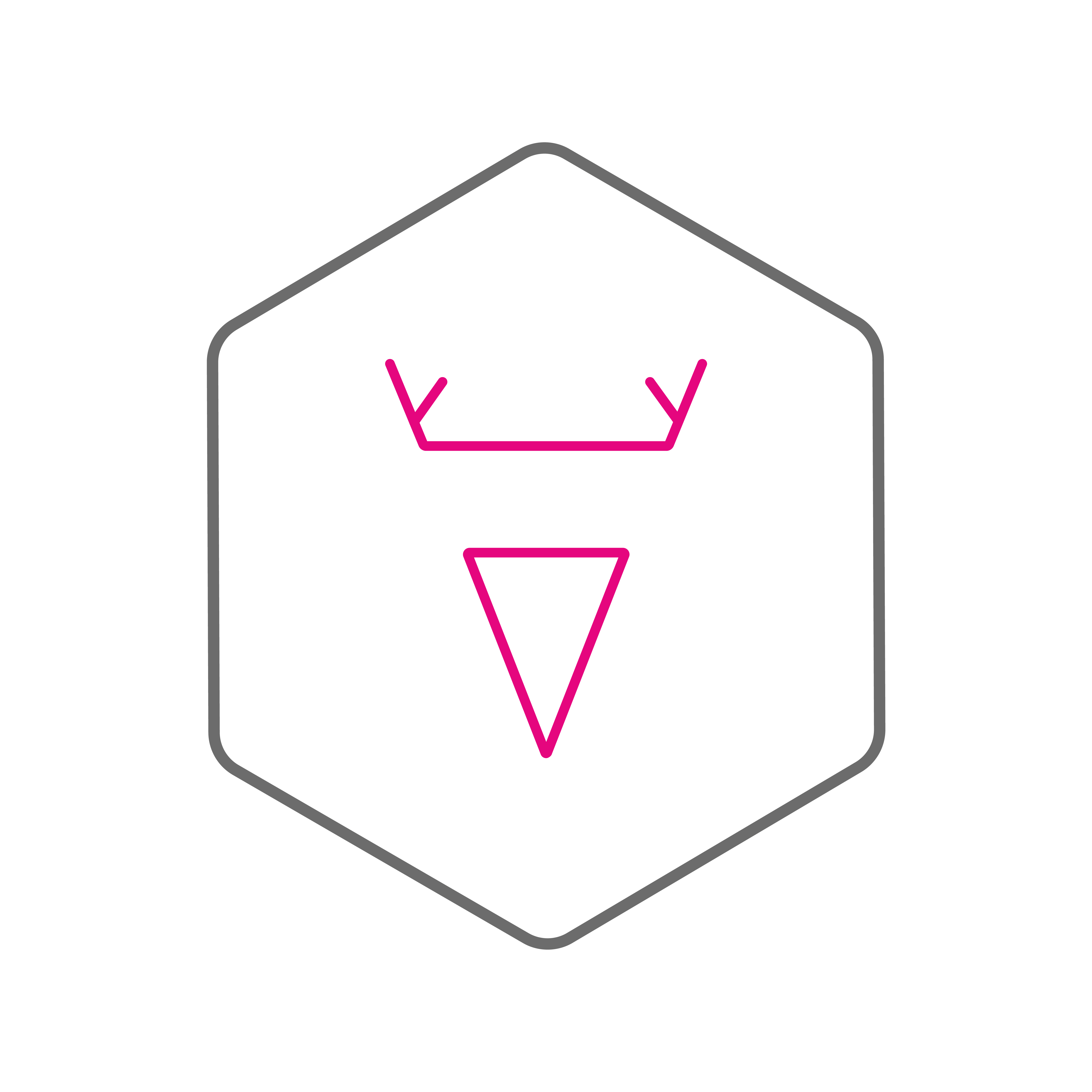 STAG Agency
