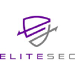 EliteSec Cyber Security Consultants