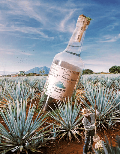 CASAMIGOS : PR, EVENTS & CREATORS OPS - Digitale Strategie