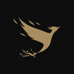 Elirius Media logo