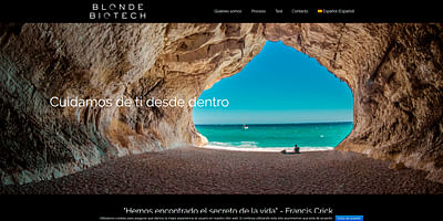 Diseño web "Blondebiotech.com" - Webseitengestaltung