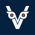 Vizuelo logo