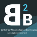 B2B International Italy