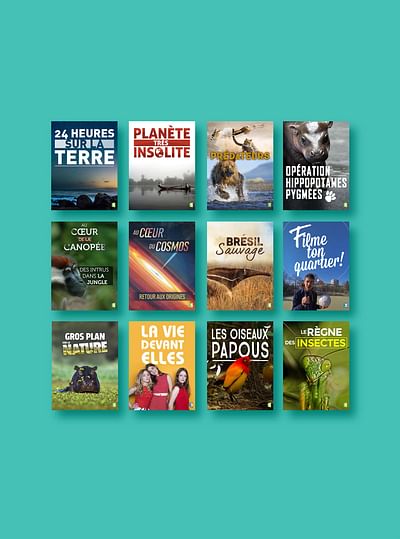 FRANCE TV : Site internet et visuels - Image de marque & branding