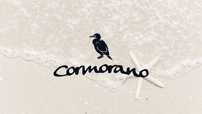 Bagno Cormorano: Da 0 a 154k+ visualizzazioni in 90 giorni - Production Vidéo