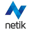NETIK logo