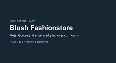 Blush Fashionstore: ROAS from 3 to 5 - Advertising