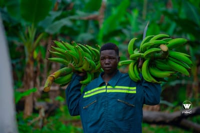 Euro Agro - Video Production