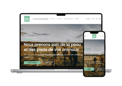 E-Commerce : Migration Wix -> Shopify - Référencement naturel