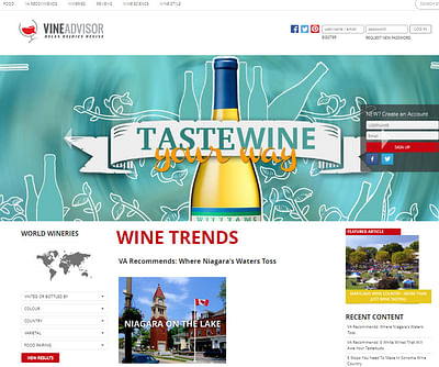 Website design for Vine Advisor - Design & graphisme