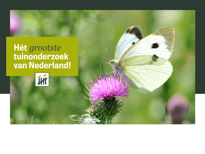 Tuintelling: hét grootste Tuinonderzoek van NL - Branding & Positionering