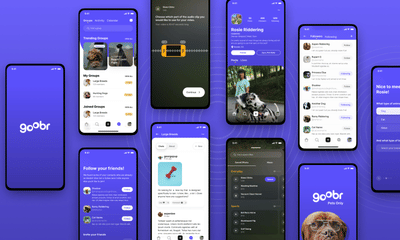 Share your pets with a social profile - Web Application