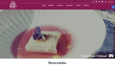 Web turística Visita Tomelloso - SEO