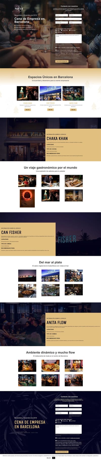 Diseño Landing Page y Publicidad para Pantea Group - Creación de Sitios Web